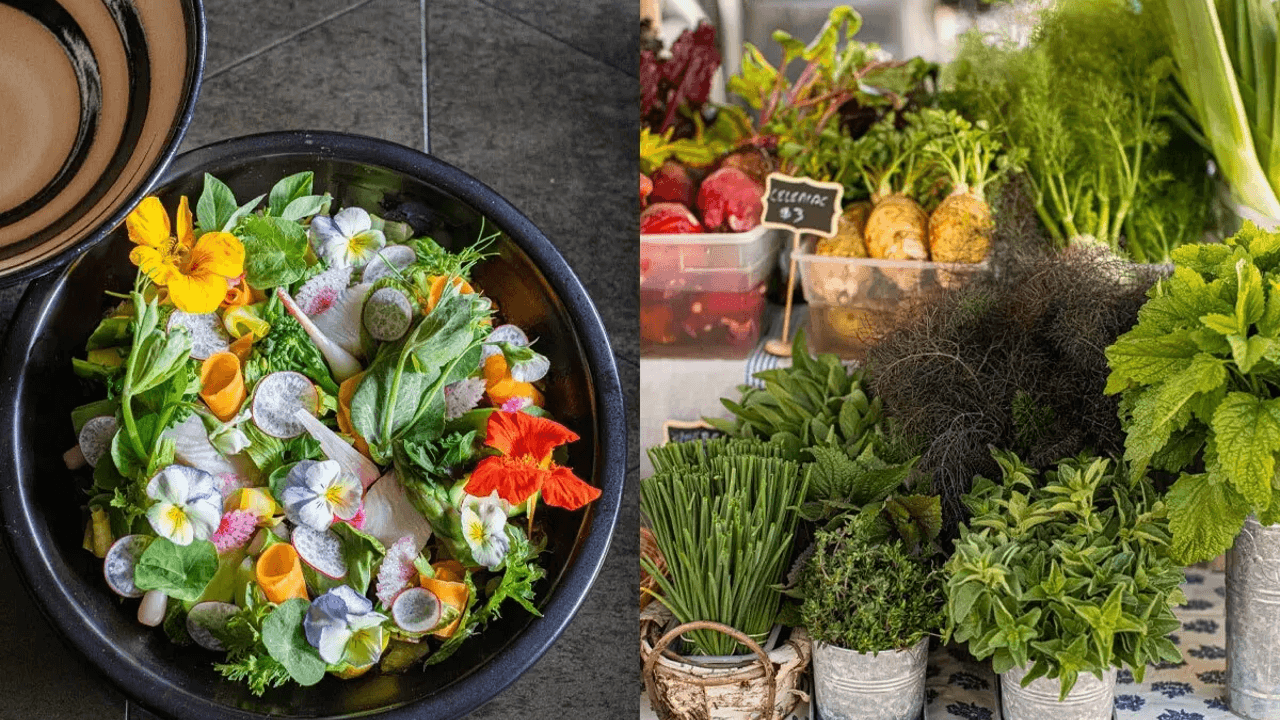 The Hidden World Behind This Wine Country Town And Recipes That Made It Famous