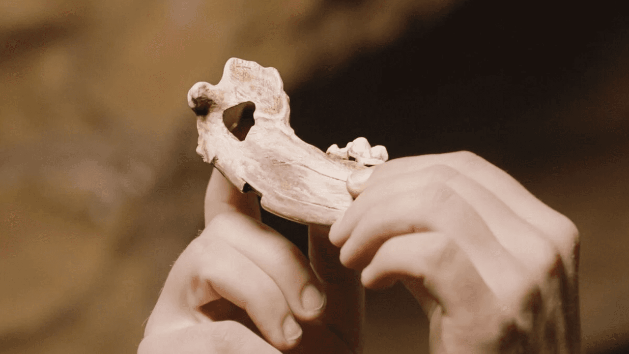 Humans Were Already Dog People 16,000 Years Ago, DNA Suggests