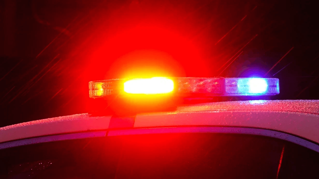 Motorcyclist fatally injured in Bell Road collision