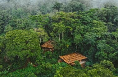 If You Go Gorilla Trekking in Uganda's Bwindi Impenetrable Forest, Stay at This Newly Reimagined A&K Sanctuary